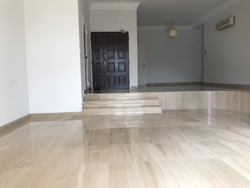 Tanglin Park (D10), Condominium #216656571